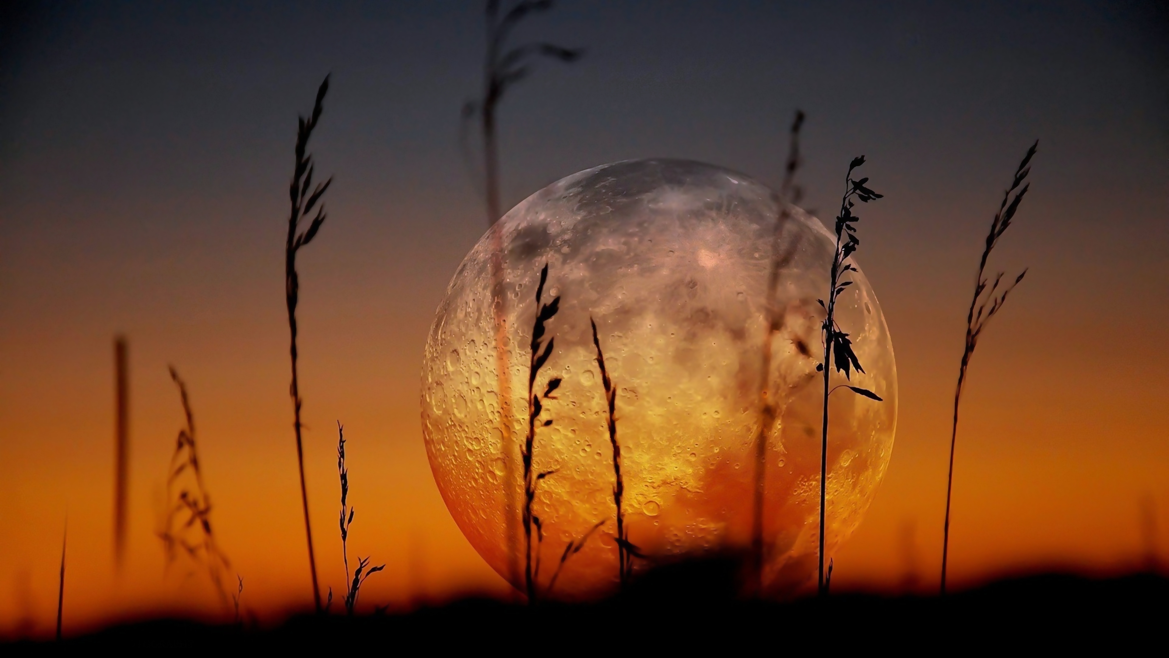 嫦娥五号揭开月球神秘面纱，呈献惊艳高清月球