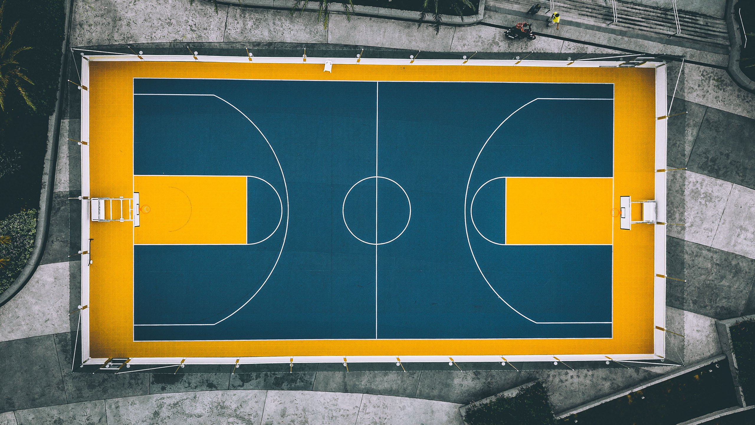 标准篮球场地的长宽各是多少（标准篮球场地长宽分别是多少）