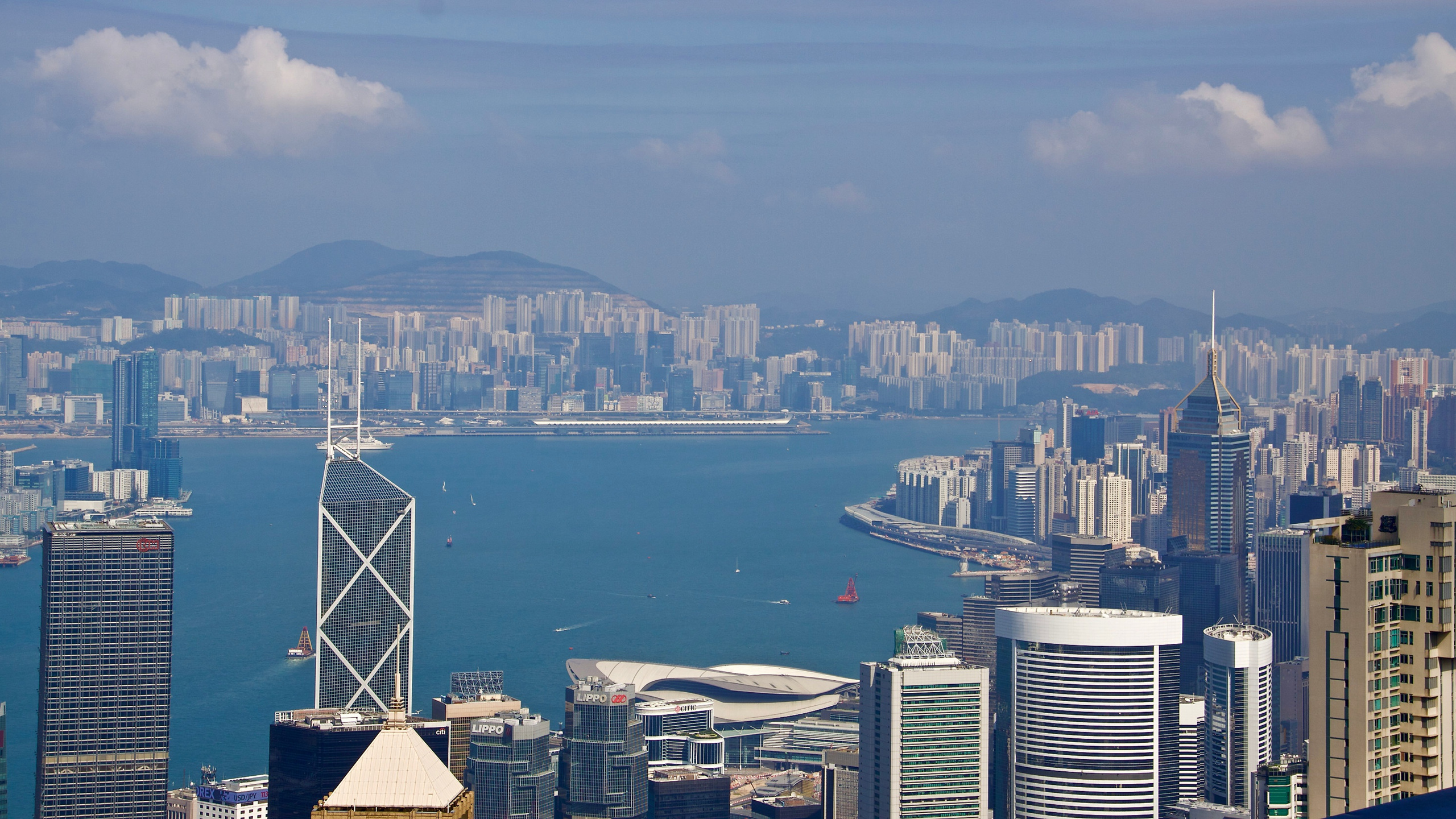 香港12平米超小户型（香港12平米超小户型租户种类）